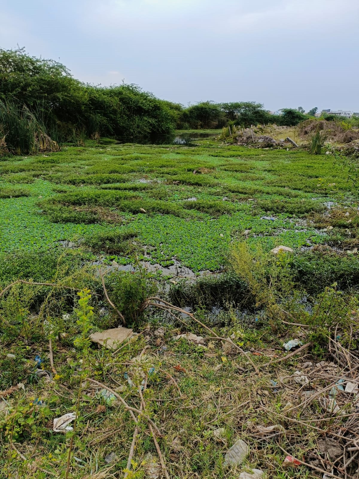 KTR guarantee .. Buttadakhalu