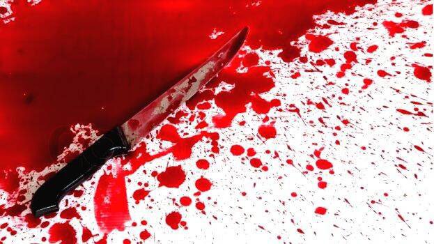 Lawyer's brutal murder