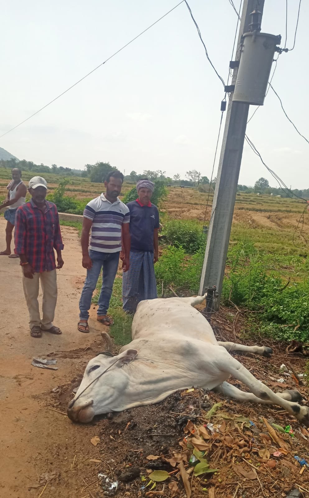 Dukkitedu died due to electric shock