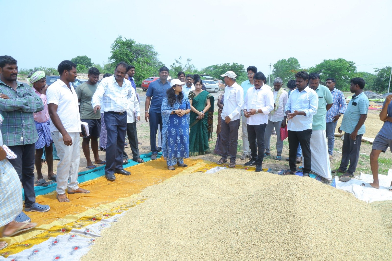 The process of grain purchase should be completed expeditiously