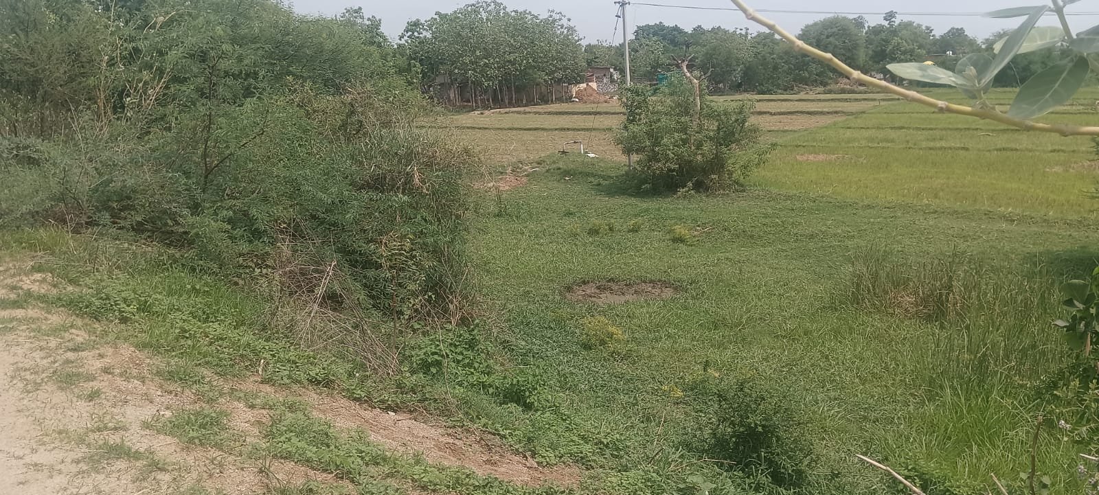 Neglect of Employment Guarantee Scheme