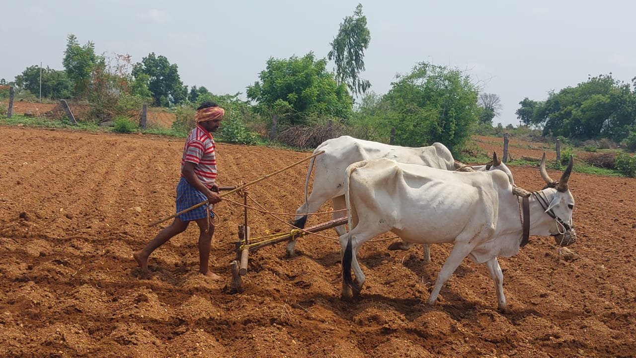 Farmers preparing for Kharif