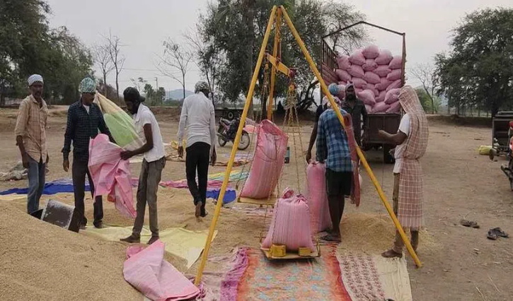 The Cornfields Are Right At The Gates The Milk Of Grain Brokers In Sircilla