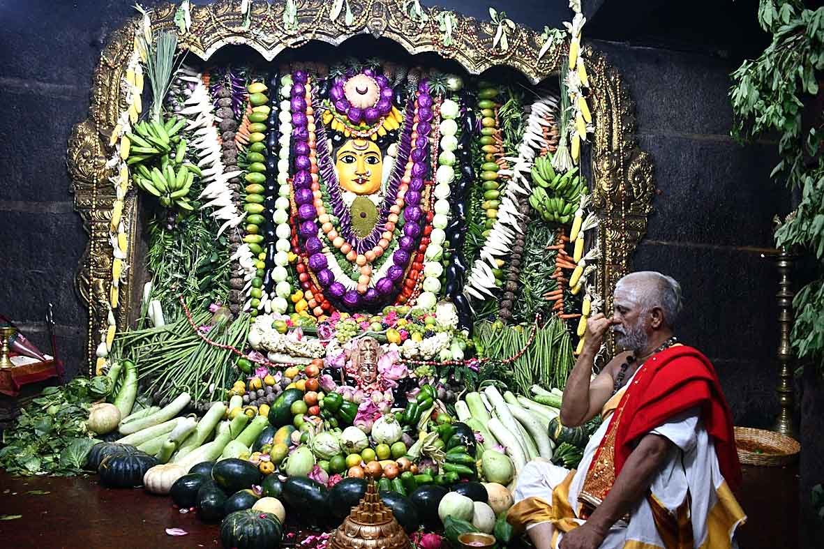 shakambari festiwal in bhadrakali temple
